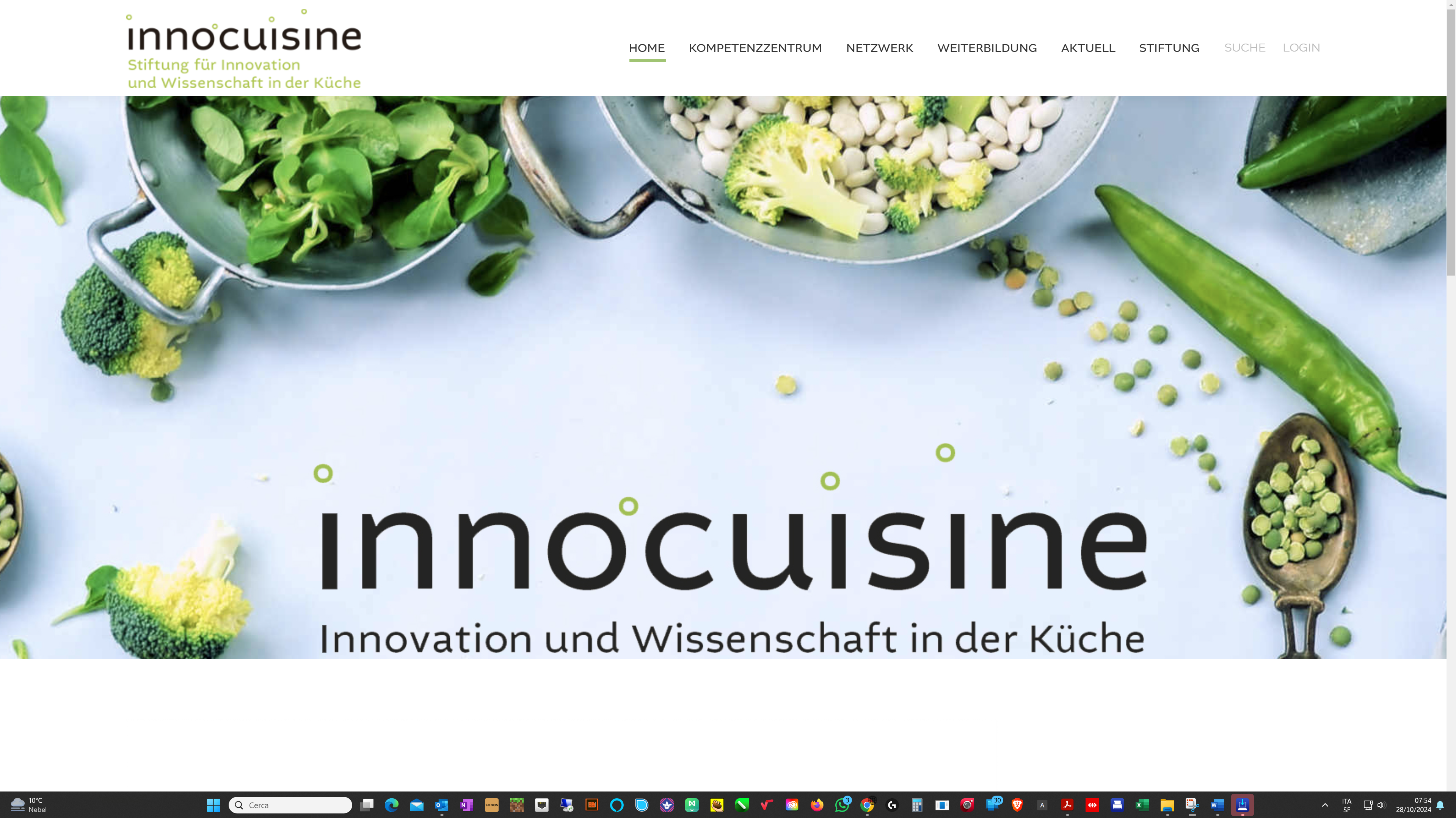 Stiftung Innocusine Sito Stiftung Innocusine